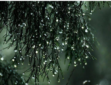 白居易所作的《阴雨》，抒发浓浓的思乡之切和郁闷之情