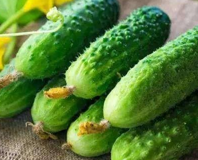 妃子生孩子后乾隆赏赐两根黄瓜 妃子见到为什么非常激动