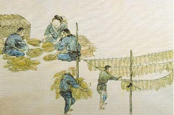 明清时期烟草有多普及？与茶、酒并列的&ldquo;待客三巨头&rdquo;之一