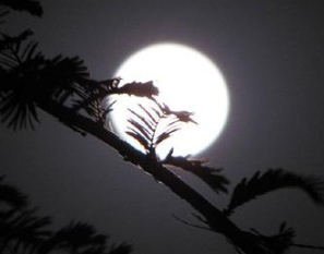 豪放派词人辛弃疾《西江月·夜行黄沙道中》是在什么背景下创作的？