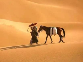 唐玄奘去西域取经，带回来的除了真经外还有什么？