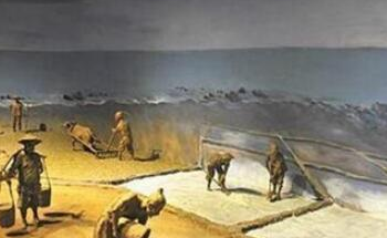 在古代食盐有多重要？为何朝廷会实行食盐官营？