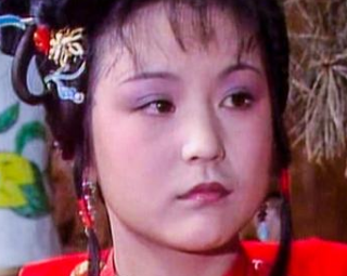 宝钗的生日宴会，作为好姐妹的史湘云为何没去？