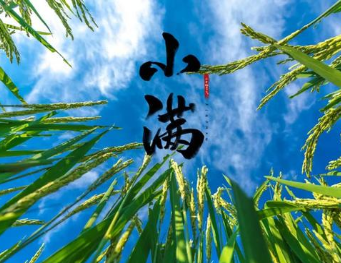 欧阳修、王安石等人都创作过关于小满的诗作，写出农家生活的淳朴