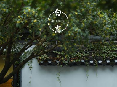 白露节气有什么风俗？白露“三候”指的是什么？