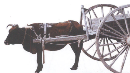 古代也有交通法？唐朝康失芬案介绍