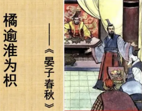 成语“橘化为枳”是什么意思？背后有什么典故？