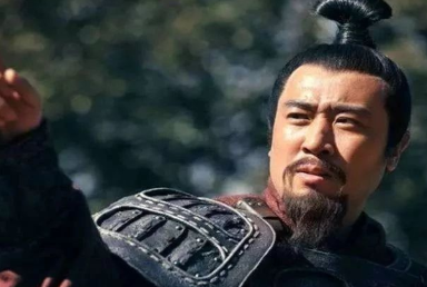 刘备错失的一位大将，在曹魏去竟得不到重用