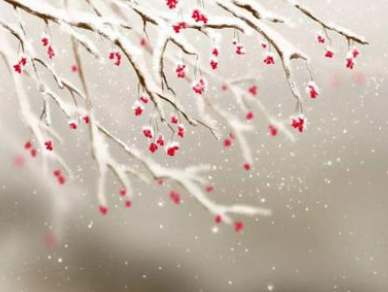韩愈《春雪》是在什么情况下创作的？该如何赏析？
