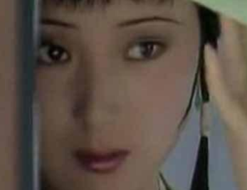 林如海死后，留下的遗产都拿去盖了大观园吗？