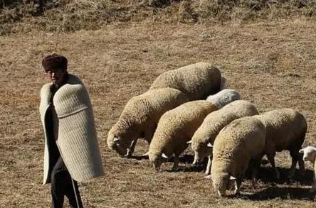 历史上苏武牧羊的时候只能吃野菜吗？