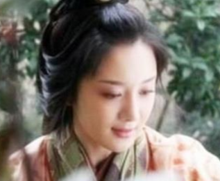 被誉为吴国最后名将的陆抗，为何要休掉自己的妻子?