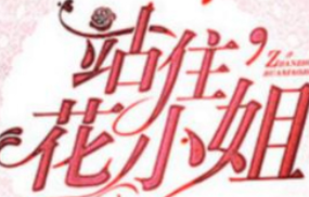 《站住花小姐》什么时候播出？一周更新几集？