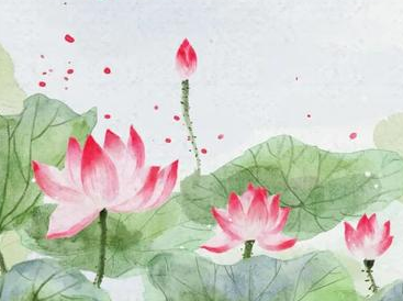 历史上有哪些描写莲花的诗作？表达了怎样特殊的情感？