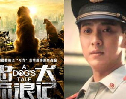 《忠犬流浪记》是真实事件吗 叮当最后找到了主人没有