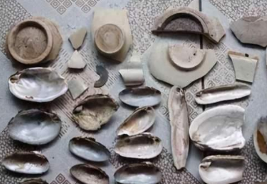 古代贝壳货币是如何发展的？有哪些分类？