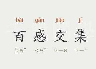 成语“百感交集”是什么意思？背后有什么典故？