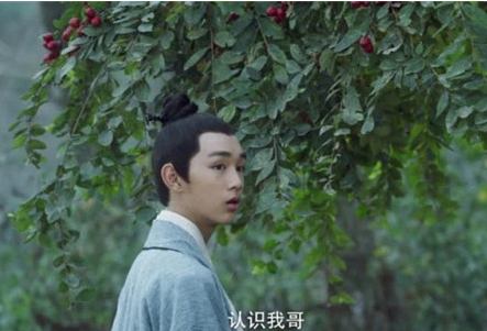 《雪中悍刀行》赵楷刺杀徐龙象的结局是什么 赵楷最后成功了吗