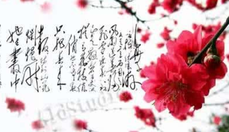 《卜算子·咏梅》的原文是什么？这首词该如何赏析呢？