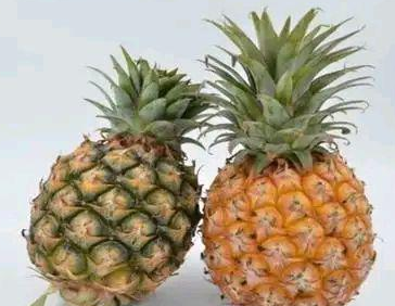 菠萝产自哪里？菠萝和凤梨是同样的东西吗？