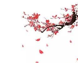 唐代诗人白居易《花非花》原文、译文及赏析