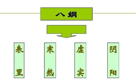 中医里的八纲辨证是什么意思？该如何理解呢？