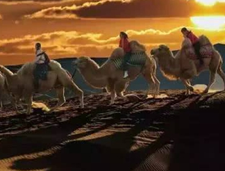 胡椒的发源地是哪里？唐朝时期为何胡椒那么珍贵？