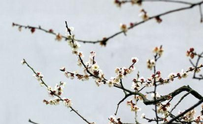 姜夔是个怎样的词人？为什么他终生未官呢？