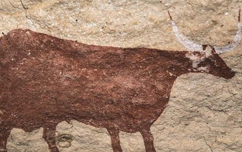 古代吃牛肉犯法吗 电视剧演的是不是真的
