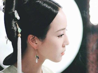 愉贵妃珂里叶特氏为什么没能录入《心写治平图》？