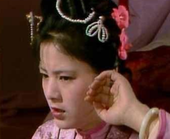 袭人如果没有离开贾府，她会如愿成为宝玉的姨娘吗？