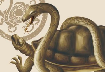 在古代，人们打完井之后还要放乌龟下去是为何？