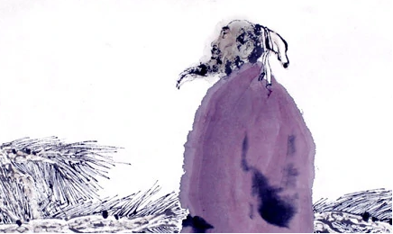 杜荀鹤《春宫怨》：“春”与“宫怨”密合无间地表现出来