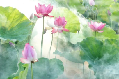 金代词人蔡松年的词作赏析：《鹧鸪天·赏荷》