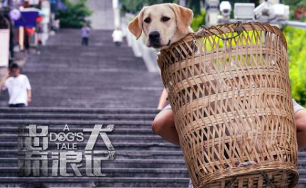《忠犬流浪记》“逆流而上”，坚持定档于8月20号播出