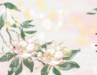 历朝历代有哪些描写昙花的诗作？诗人是如何赞誉昙花的？