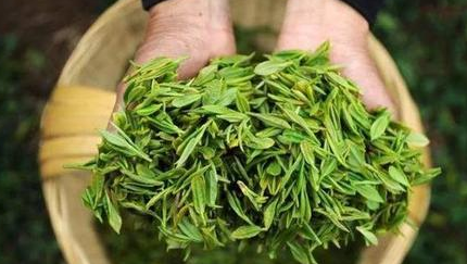 茶在唐代陆羽著《茶经》之前是怎么写的？它还有哪些称呼？
