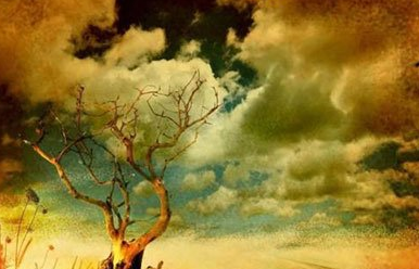 《蝶恋花·醉别西楼醒不记》的写作背景是什么？该怎样去理解呢？