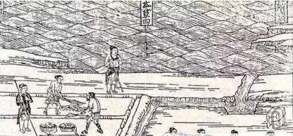 两税法是由谁提出来的？两税法的实行对唐朝有什么意义？