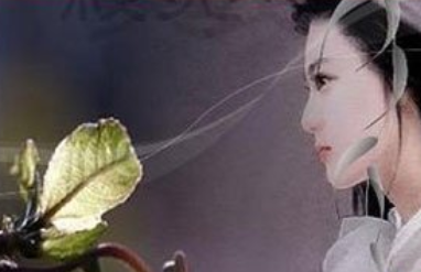 《千秋岁·数声鶗鴂》的原文是什么？这首词该如何赏析呢？