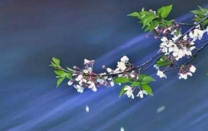 《水仙子·次韵》的作者是谁？这首诗词的原意是什么？