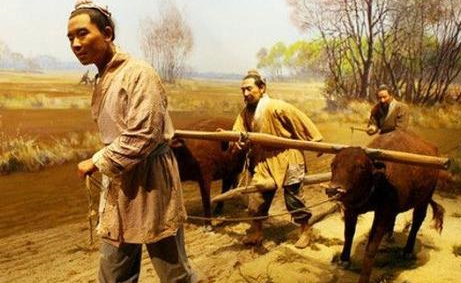 在古代什么肉不能吃？吃了可能会坐牢