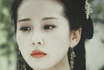 因为哪位大臣的建议，宋朝宣布一律称“公主”为“帝姬”？