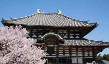 东大寺是日本华严宗大本山，它与唐朝的武则天有何关系？