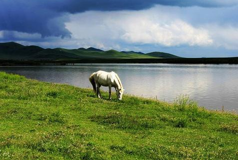 古代技术落后，军队如何保障士兵饮水问题？