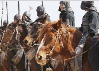 历史上真的有人做到了百战不殆吗？杨善会是什么人？