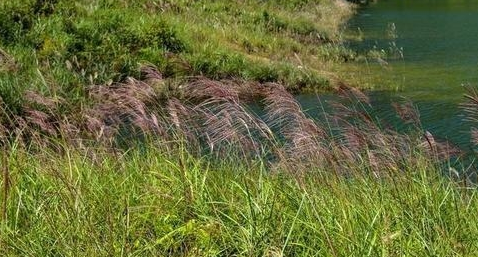 周天子要楚国进贡茅草，背后是什么原因？