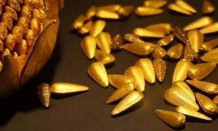 古代皇帝打赏金瓜子是什么东西 这东西是用金子做的吗