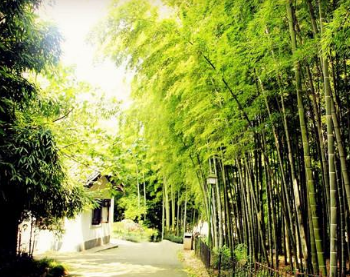 《喜晴》范成大所作的六言诗，让人感受到乡村最美好的一面