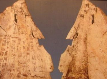 羊大为美是什么意思？数千年前的古人为何用羊作为美的标准？